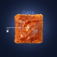 گاتا